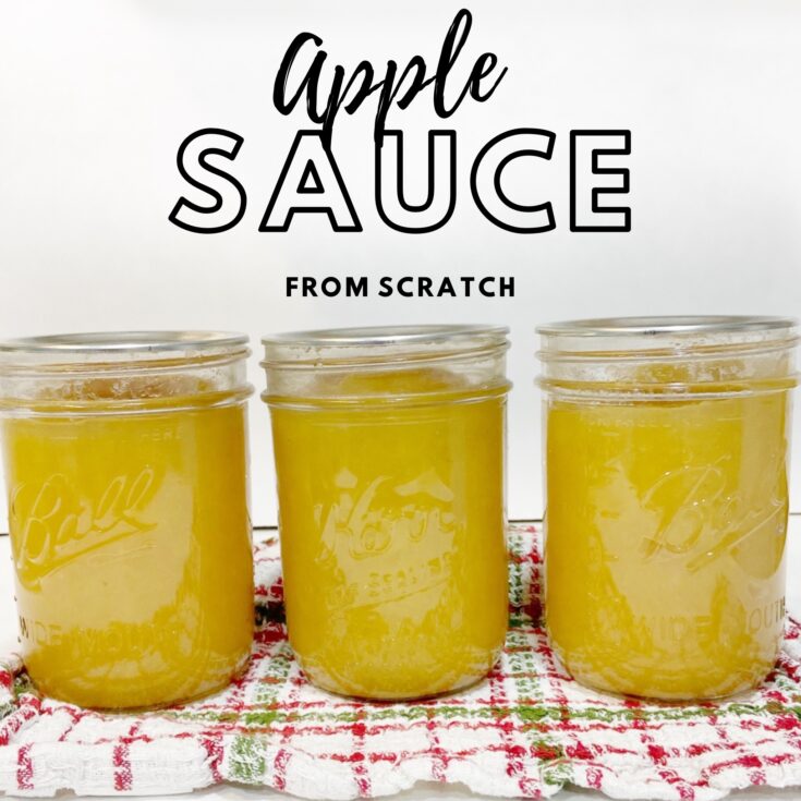 The Best Homemade Applesauce
